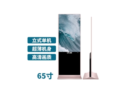 超薄立式65寸液晶廣告機單機版