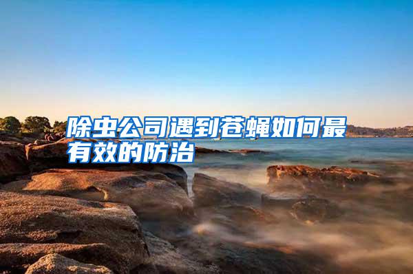 除蟲(chóng)公司遇到蒼蠅如何最有效的防治