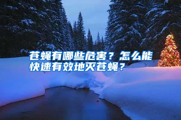 蒼蠅有哪些危害？怎么能快速有效地滅蒼蠅？
