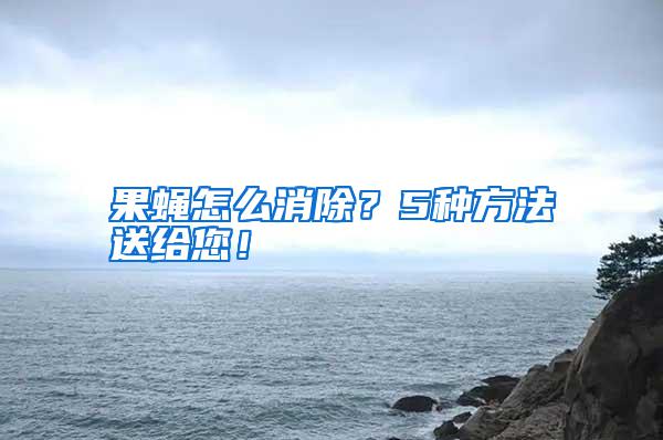 果蠅怎么消除？5種方法送給您！
