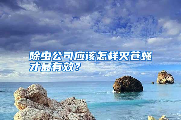 除蟲公司應該怎樣滅蒼蠅才最有效？