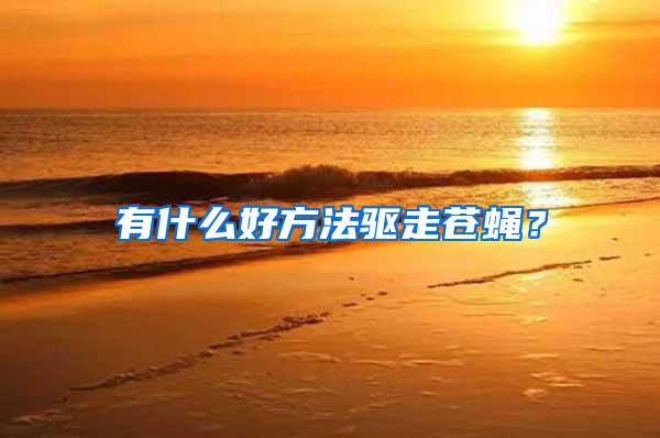 有什么好方法驅走蒼蠅？