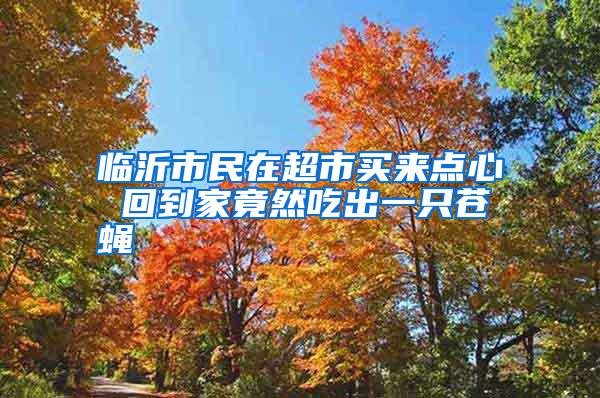 臨沂市民在超市買來(lái)點(diǎn)心 回到家竟然吃出一只蒼蠅