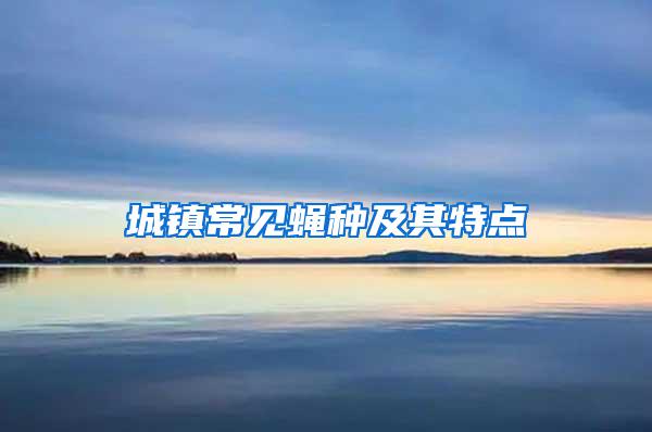 城鎮(zhèn)常見(jiàn)蠅種及其特點(diǎn)