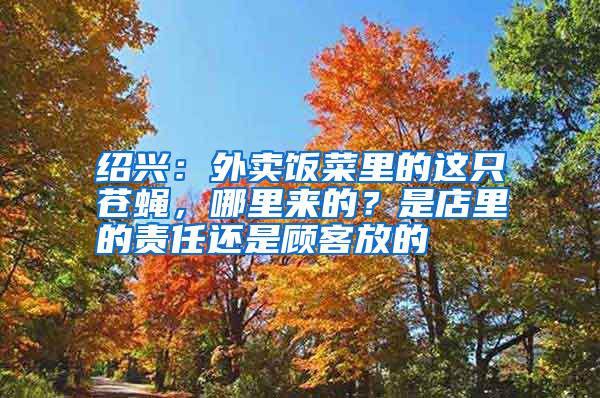 紹興：外賣飯菜里的這只蒼蠅，哪里來的？是店里的責任還是顧客放的