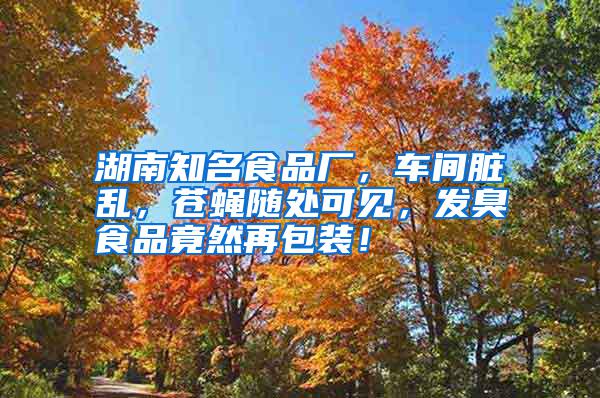 湖南知名食品廠，車間臟亂，蒼蠅隨處可見，發(fā)臭食品竟然再包裝！
