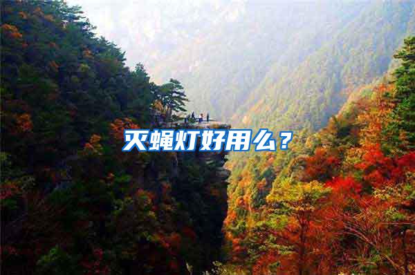 滅蠅燈好用么？