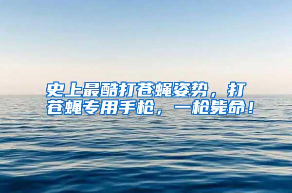 史上最酷打蒼蠅姿勢，打蒼蠅專用手槍，一槍斃命！