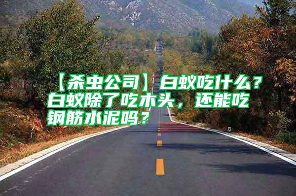 【殺蟲公司】白蟻吃什么?白蟻除了吃木頭,還能吃鋼筋水泥嗎?