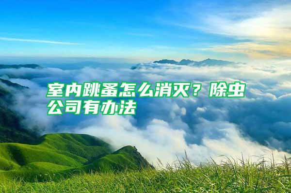 室內跳蚤怎么消滅？除蟲公司有辦法