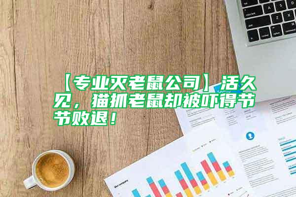 【專業滅老鼠公司】活久見，貓抓老鼠卻被嚇得節節敗退！
