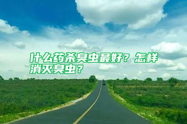 什么藥殺臭蟲最好？怎樣消滅臭蟲？