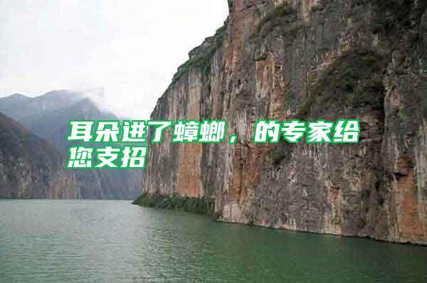 耳朵進(jìn)了蟑螂，的專家給您支招