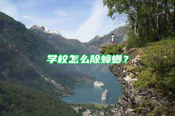 學校怎么除蟑螂？