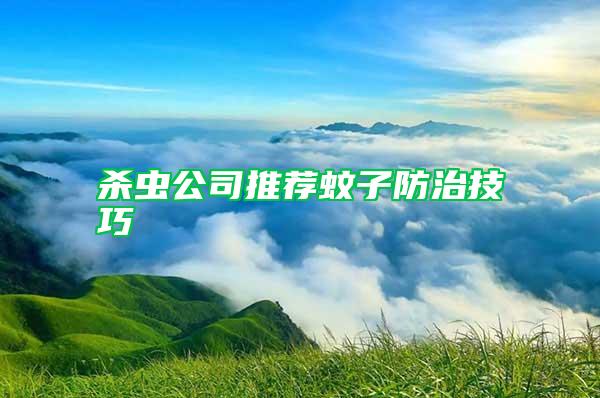 殺蟲(chóng)公司推薦蚊子防治技巧