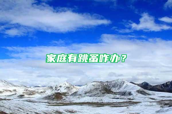 家庭有跳蚤咋辦？