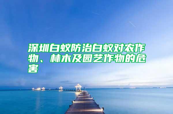 深圳白蟻防治白蟻對農作物、林木及園藝作物的危害