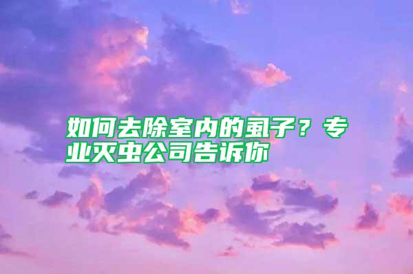 如何去除室內(nèi)的虱子？專業(yè)滅蟲公司告訴你