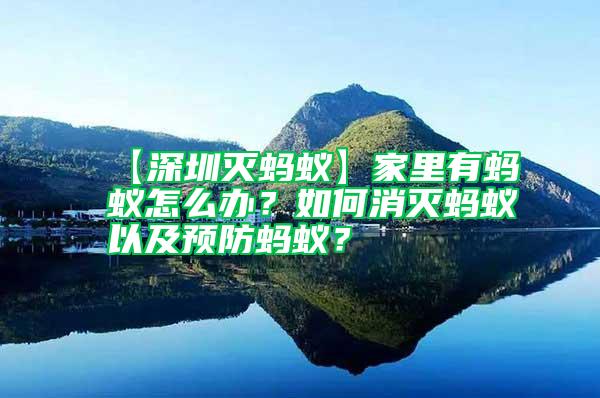 【深圳滅螞蟻】家里有螞蟻怎么辦？如何消滅螞蟻以及預防螞蟻？