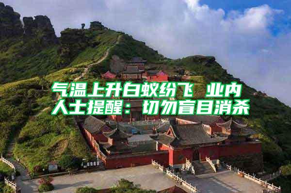 氣溫上升白蟻紛飛 業(yè)內(nèi)人士提醒:切勿盲目消殺