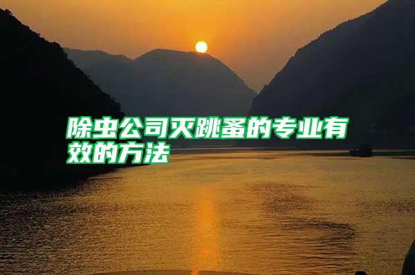 除蟲(chóng)公司滅跳蚤的專(zhuān)業(yè)有效的方法