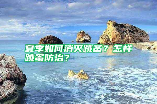 夏季如何消滅跳蚤？怎樣跳蚤防治？