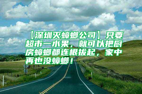 【深圳滅蟑螂公司】只要超市一水果，就可以把廚房蟑螂都連根拔起，家中再也沒蟑螂！