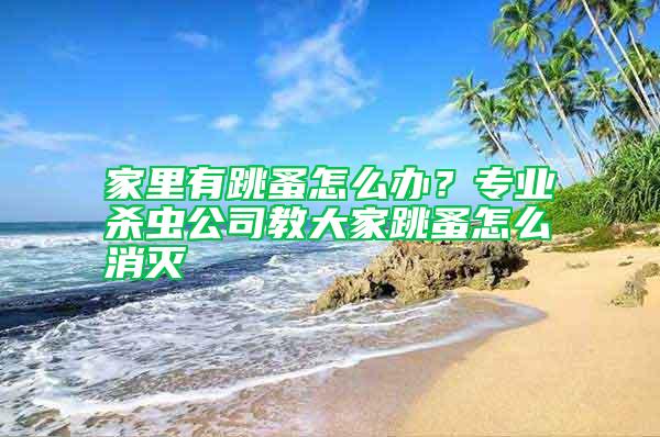 家里有跳蚤怎么辦？專業殺蟲公司教大家跳蚤怎么消滅
