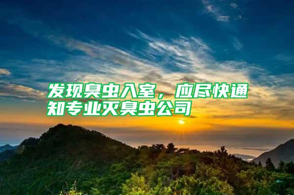 發現臭蟲入室，應盡快通知專業滅臭蟲公司