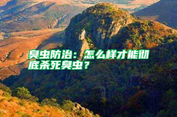 臭蟲防治：怎么樣才能徹底殺死臭蟲？