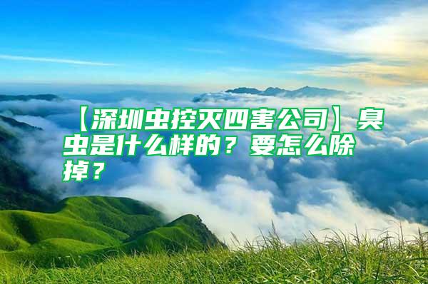 【深圳蟲(chóng)控滅四害公司】臭蟲(chóng)是什么樣的？要怎么除掉？