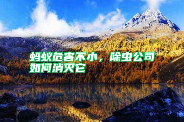 螞蟻危害不小，除蟲公司如何消滅它