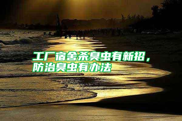 工廠宿舍殺臭蟲有新招，防治臭蟲有辦法