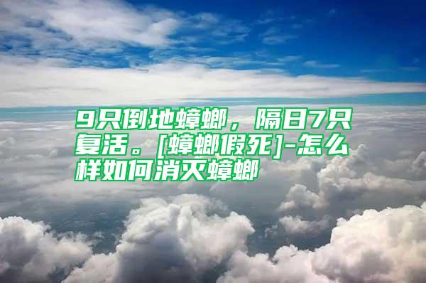 9只倒地蟑螂，隔日7只復活。[蟑螂假死]-怎么樣如何消滅蟑螂