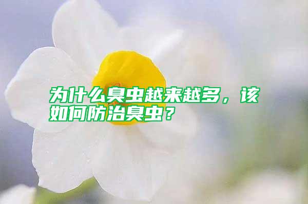 為什么臭蟲(chóng)越來(lái)越多，該如何防治臭蟲(chóng)？