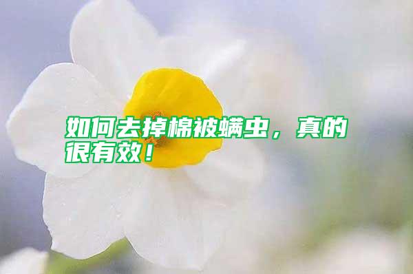 如何去掉棉被螨蟲(chóng)，真的很有效！