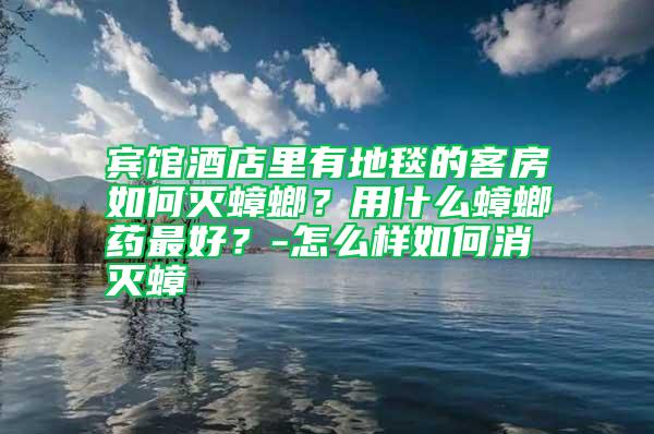 賓館酒店里有地毯的客房如何滅蟑螂？用什么蟑螂藥最好？-怎么樣如何消滅蟑