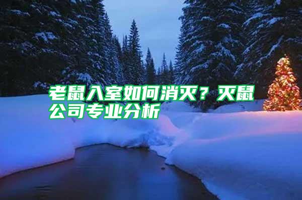 老鼠入室如何消滅？滅鼠公司專業(yè)分析