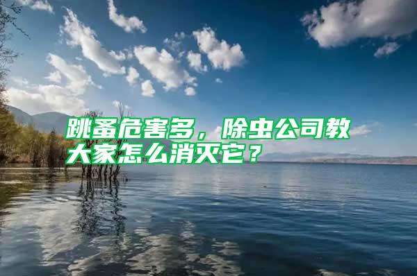 跳蚤危害多，除蟲公司教大家怎么消滅它？