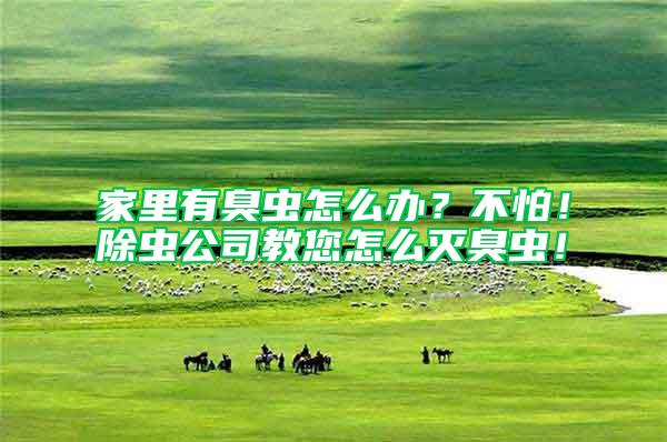 家里有臭蟲怎么辦？不怕！除蟲公司教您怎么滅臭蟲！