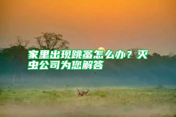 家里出現(xiàn)跳蚤怎么辦？滅蟲(chóng)公司為您解答