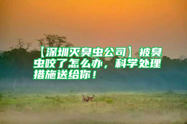 【深圳滅臭蟲公司】被臭蟲咬了怎么辦，科學處理措施送給你！