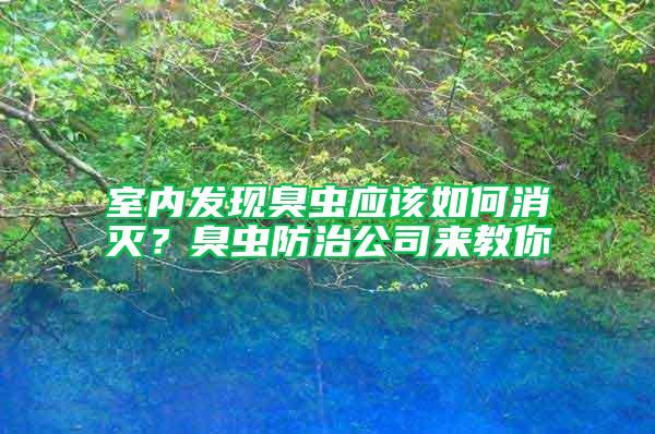 室內(nèi)發(fā)現(xiàn)臭蟲應(yīng)該如何消滅？臭蟲防治公司來教你