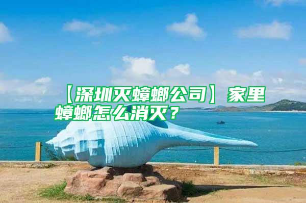 【深圳滅蟑螂公司】家里蟑螂怎么消滅？