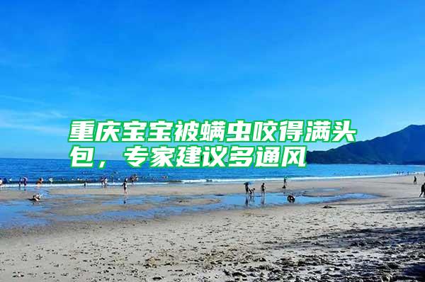 重慶寶寶被螨蟲(chóng)咬得滿頭包，專家建議多通風(fēng)