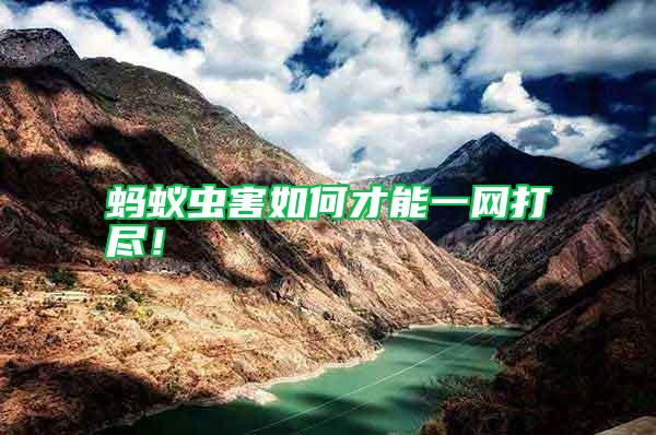 螞蟻蟲害如何才能一網(wǎng)打盡！