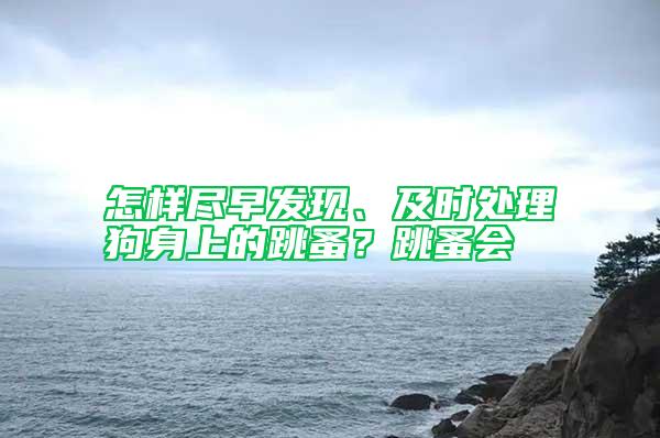 怎樣盡早發現、及時處理狗身上的跳蚤？跳蚤會