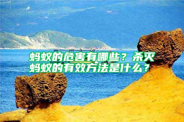 螞蟻的危害有哪些？殺滅螞蟻的有效方法是什么？