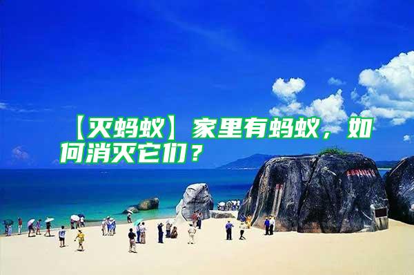 【滅螞蟻】家里有螞蟻，如何消滅它們？