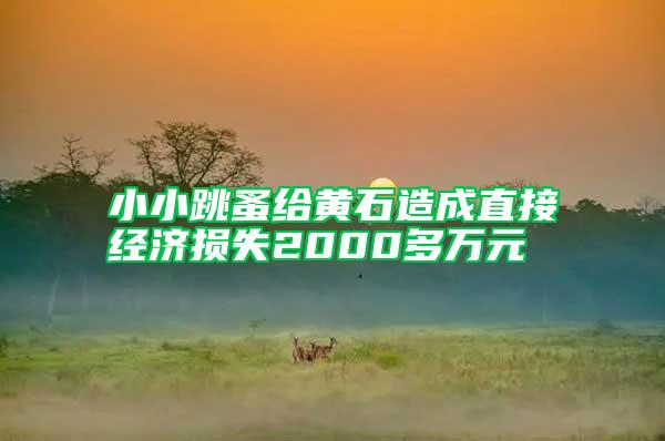 小小跳蚤給黃石造成直接經(jīng)濟(jì)損失2000多萬(wàn)元